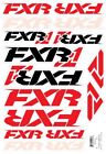 171656-2000-00 Fxr Decals Red 841921404436