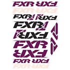 171656-8500-00 Fxr Decals Wineberry 841921404474
