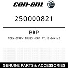 250000821 Brp Spyder Vis Torx
