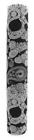 31842 Hair Glove Skull Paisley Neoprene