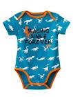 3pw1790203 Ktm New Baby Dino Body