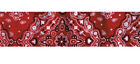 642608001531 Zan Headgear Cooldanna Head