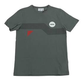 Bmw 80-14-5-a21-589 Mini Mens Wordmark Graphic Sage T-shirt Small