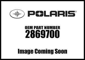 2869700 Polaris Squeak Ball 5pk New Oem