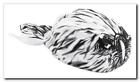 Zsg033 Zan Headgear Road Hog Flydanna Airbrush Eagle 642608010670