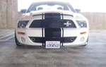 Quick Release License Plate Bracket 07-09 Ford Mustang Shelby GT500 S. Snake. Fixed Price $99.99.