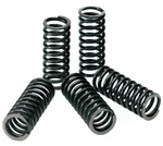 Pro Circuit Clutch Springs-honda-crf 150R-07-18. Fixed Price $40.95.