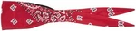 Schampa Old School Bandana Paisley Red OSB1-225. Fixed Price $21.99.