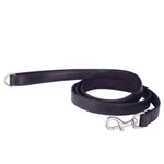 Indian Motorcycle Leather Dog Leash Embossed Branding, Black 2869696. Fixed Price $39.99.