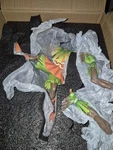Dream Studio The Legend Of Zelda Majoras Mask Skull Kid Body Part. Fixed Price $200.00.