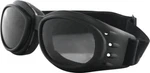 Zan Cruiser Interchangeable Goggles BCA2031AC. Fixed Price $47.99.