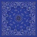 Zan B002 Bandanna Navy Paisley. Fixed Price $15.95.