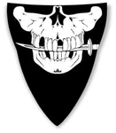 Schampa Stretch Half-face Mask Pirate VNG008D. Fixed Price $15.01.