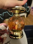 Bath & Body Works Fox Squirrel Water Globe Pedestal With Light.. Fixed Price $24.99.