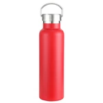 20 Oz. Water Bottle Double Insulated Stainless Steel With Handle Cap. Fixed Price $12.89.