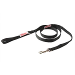 Simpson Leash Large Doglea-l. Fixed Price $49.95.