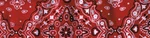 Zan Cooldanna Red Paisley DC106. Fixed Price $17.99.