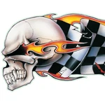 Lethal Threat Decal "checkered Skull" Left. Fixed Price $5.99.
