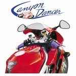 Canyon Dancer 37205 Bar-harness For Security & Covers Tiedowns Bungee Wd. Fixed Price $35.79.