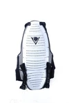 Dainese Wave 3 Back Protector Wearable W/ Straps Size Large Gray. Fixed Price $130.00.