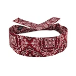 Zan Cooldanna Cotton Red Paisley. Fixed Price $9.98.