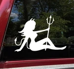 Mudflap Devil Vinyl Decal Trucker Icon Pin-up Silhouette Die Cut Sticker. Fixed Price $10.49.