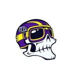 Troy Lee Designs Decal Skully Sticker 1 Piece Motocross Enduro Downhill Mtb. Fixed Price $11.61.