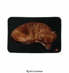 Techniche Heating Dog Pad, Powered By Pax 9511 Size Large No Packs. Fixed Price $12.99.