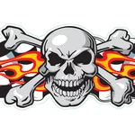 Lethal Threat Decals "race Skull". Fixed Price $5.99.