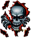 Skull Decal Graphic For Motorcycle Windscreens. Fixed Price $13.99.