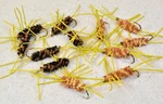 Rubber Legs Stone Fly Pattern - 1DZ Flies Various Hooks & Colors Mustad. Fixed Price $9.99.