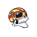 Troy Lee Designs Decal Skully Sticker 1 Piece Motocross Enduro Downhill Mtb. Fixed Price $11.61.