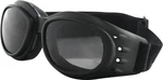 Zan Cruiser Interchangeable Goggles BCA2031AC. Fixed Price $49.98.