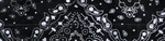 Zan Cooldanna Black Paisley DC101. Fixed Price $17.99.