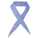 Techniche 6519-RB Hyperkewl Evaporative Cooling Neckband One Size Royal Blue. Fixed Price $14.14.