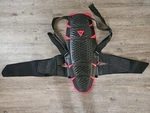 Dainese Spine Protector. Fixed Price $150.00.